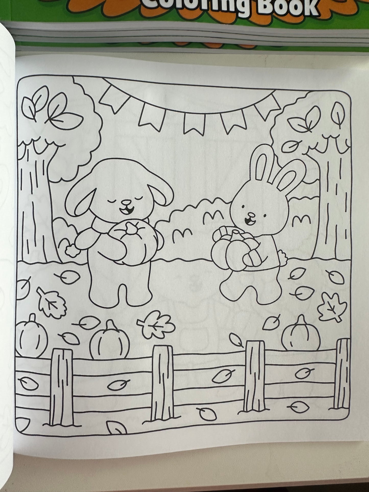 Autumn Hugs & Harvest: Coloring Book for All Ages!